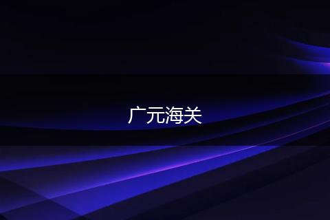 广元海关