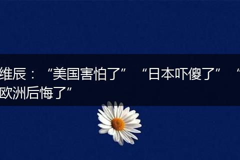 维辰：“美国害怕了”“日本吓傻了”“欧洲后悔了”