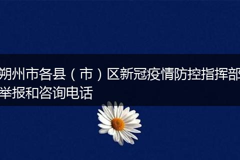 朔州市各县（市）区新冠疫情防控指挥部举报和咨询电话