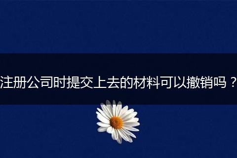 注册公司时提交上去的材料可以撤销吗？