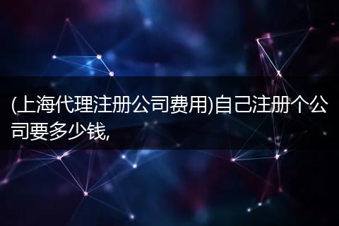 (上海代理注册公司费用)自己注册个公司要多少钱,