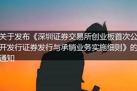 关于发布《深圳证券交易所创业板首次公开发行证券发行与承销业务实施细则》的通知