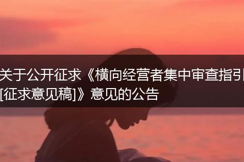 关于公开征求《横向经营者集中审查指引[征求意见稿]》意见的公告
