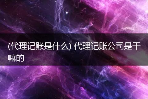 (代理记账是什么) 代理记账公司是干嘛的