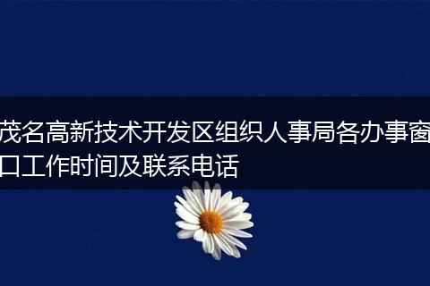 茂名高新技术开发区组织人事局各办事窗口工作时间及联系电话