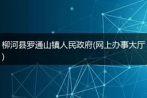 柳河县罗通山镇人民政府(网上办事大厅)