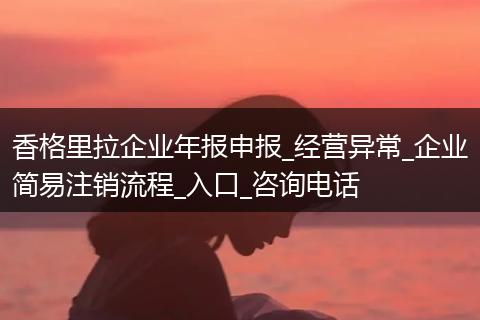 香格里拉企业年报申报_经营异常_企业简易注销流程_入口_咨询电话