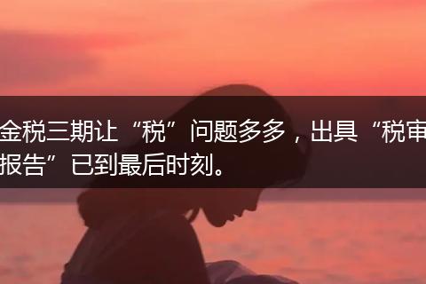 金税三期让“税”问题多多,出具“税审报告”已到最后时刻。