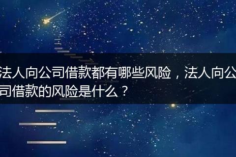 法人向公司借款都有哪些风险,法人向公司借款的风险是什么?