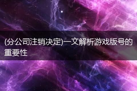 (分公司注销决定)一文解析游戏版号的重要性