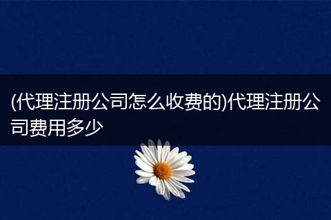 (代理注册公司怎么收费的)代理注册公司费用多少