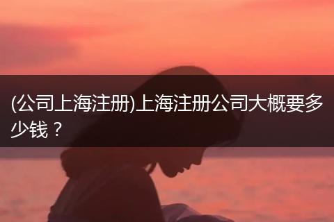 (公司上海注册)上海注册公司大概要多少钱？