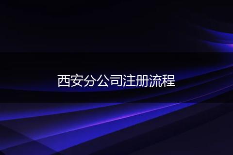 西安分公司注册流程