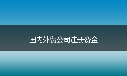 国内外贸公司注册资金