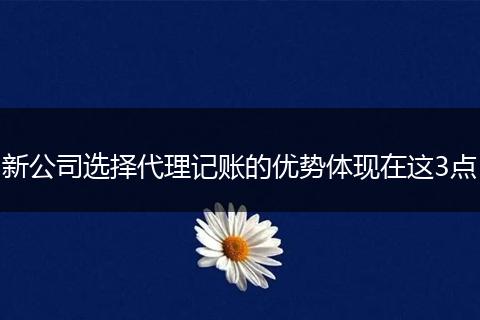 新公司选择代理记账的优势体现在这3点