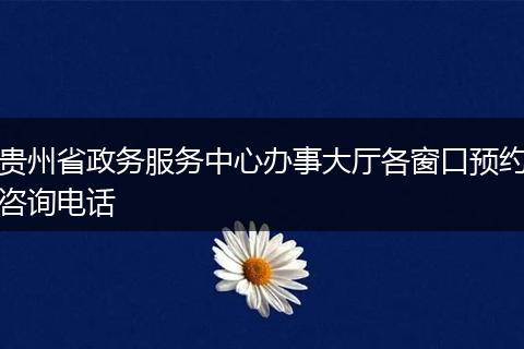 贵州省政务服务中心办事大厅各窗口预约咨询电话