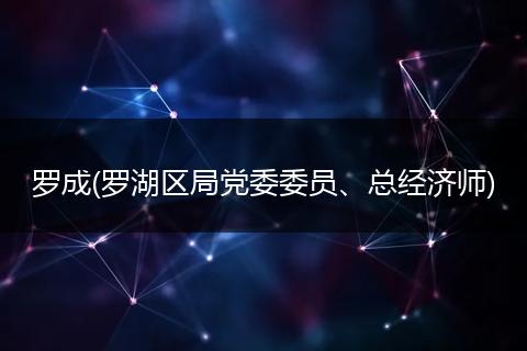 罗成(罗湖区局党委委员、总经济师)