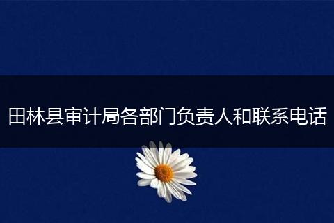 田林县审计局各部门负责人和联系电话