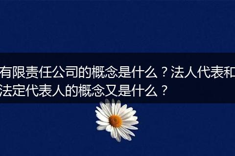 有限责任公司的概念是什么?法人代表和法定代表人的概念又是什么?