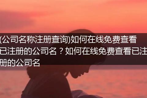 (公司名称注册查询)如何在线免费查看已注册的公司名？如何在线免费查看已注册的公司名