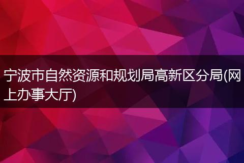宁波市自然资源和规划局高新区分局(网上办事大厅)