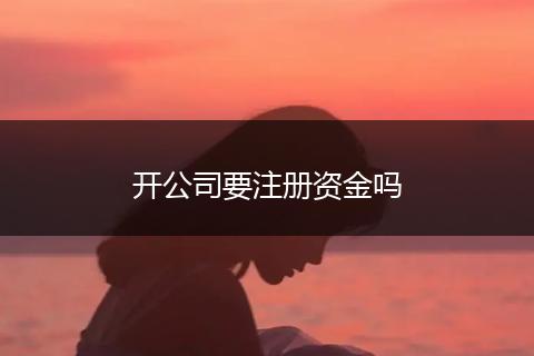 开公司要注册资金吗