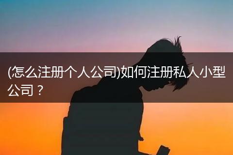(怎么注册个人公司)如何注册私人小型公司?