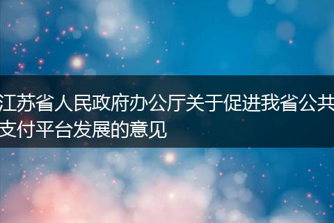 江苏省人民政府办公厅关于促进我省公共支付平台发展的意见