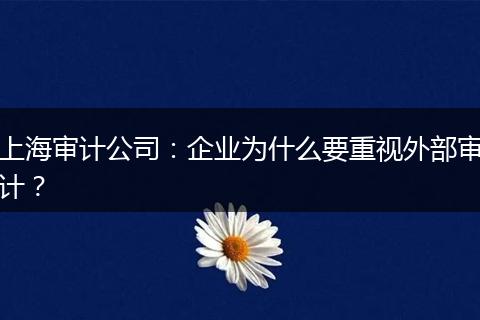 上海审计公司:企业为什么要重视外部审计?