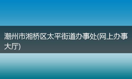 潮州市湘桥区太平街道办事处(网上办事大厅)