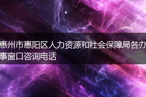 惠州市惠阳区人力资源和社会保障局各办事窗口咨询电话