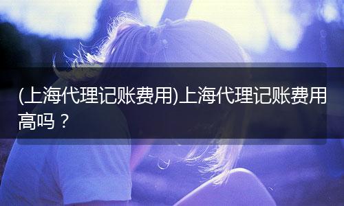 (上海代理记账费用)上海代理记账费用高吗？