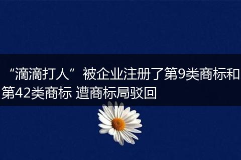 “滴滴打人”被企业注册了第9类商标和第42类商标 遭商标局驳回