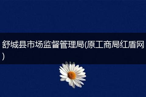 舒城县市场监督管理局(原工商局红盾网)