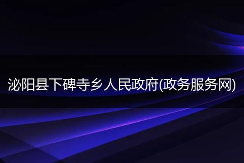泌阳县下碑寺乡人民政府(政务服务网)