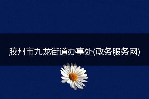 胶州市九龙街道办事处(政务服务网)