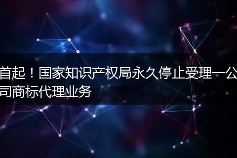 首起!国家知识产权局永久停止受理一公司商标代理业务