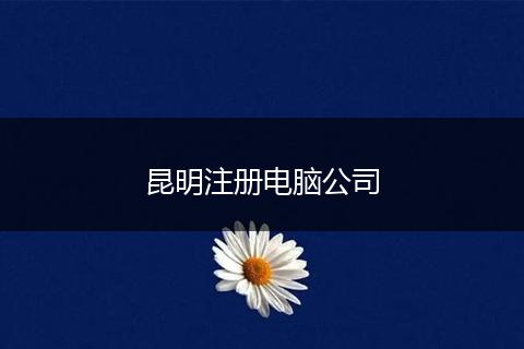 昆明注册电脑公司