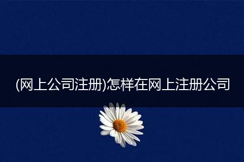 (网上公司注册)怎样在网上注册公司
