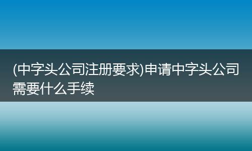 (中字头公司注册要求)申请中字头公司需要什么手续