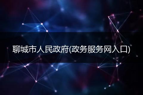 聊城市人民政府(政务服务网入口)