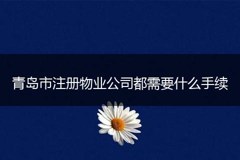 青岛市注册物业公司都需要什么手续