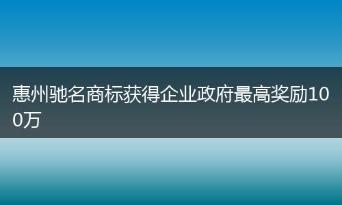 惠州驰名商标获得企业政府最高奖励100万