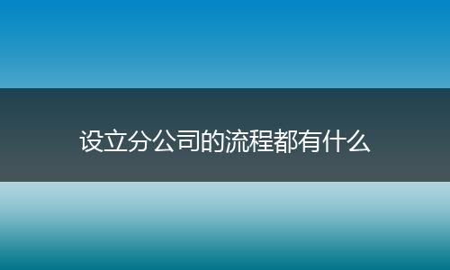 设立分公司的流程都有什么