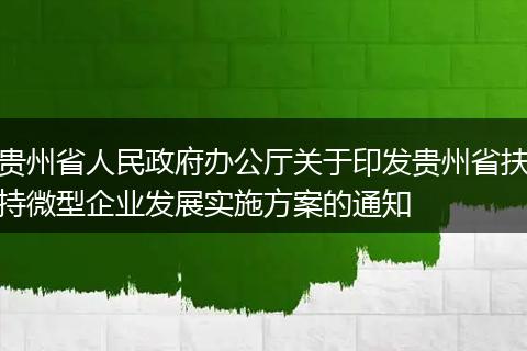 贵州省人民政府办公厅关于印发贵州省扶持微型企业发展实施方案的通知