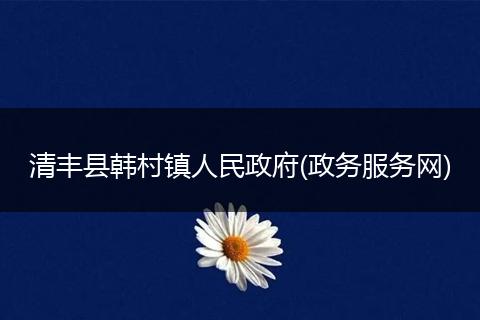 清丰县韩村镇人民政府(政务服务网)