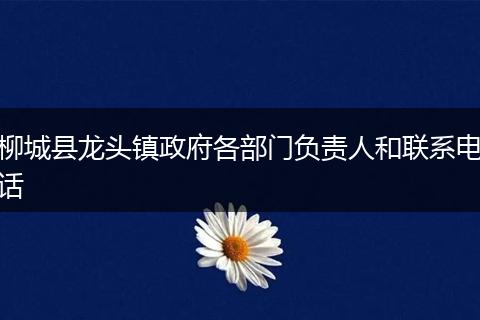 柳城县龙头镇政府各部门负责人和联系电话