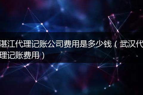 湛江代理记账公司费用是多少钱（武汉代理记账费用）