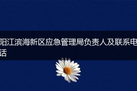 阳江滨海新区应急管理局负责人及联系电话