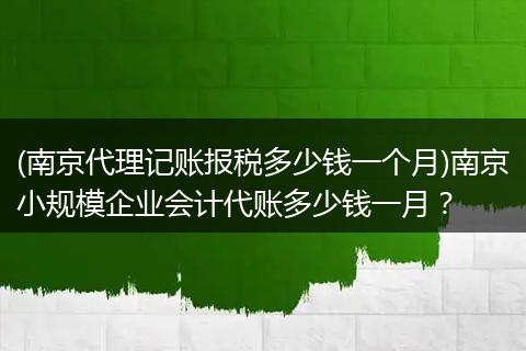 (南京代理记账报税多少钱一个月)南京小规模企业会计代账多少钱一月？